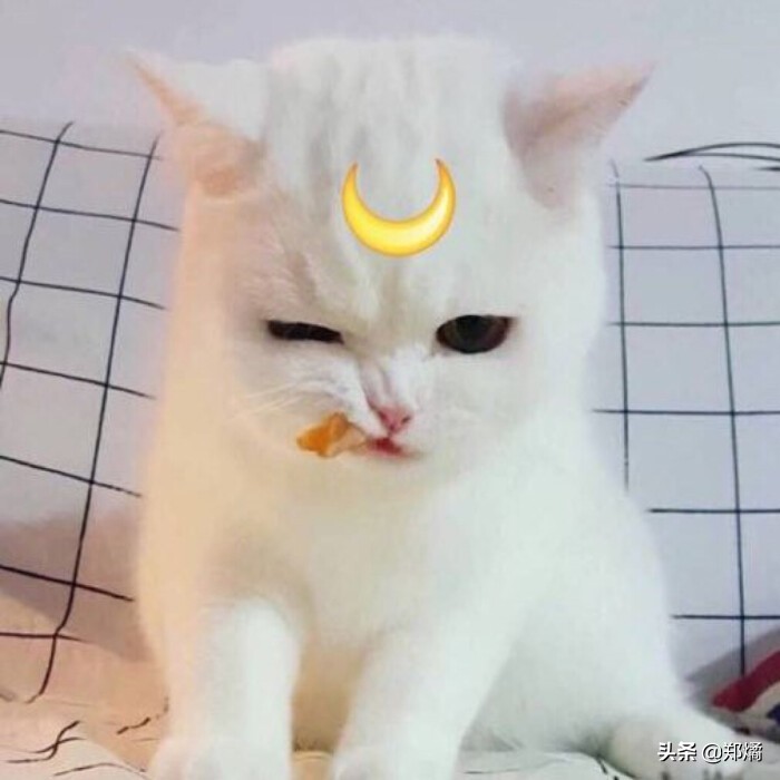 最经典的哲理超短笑话,超短超好笑的新笑话