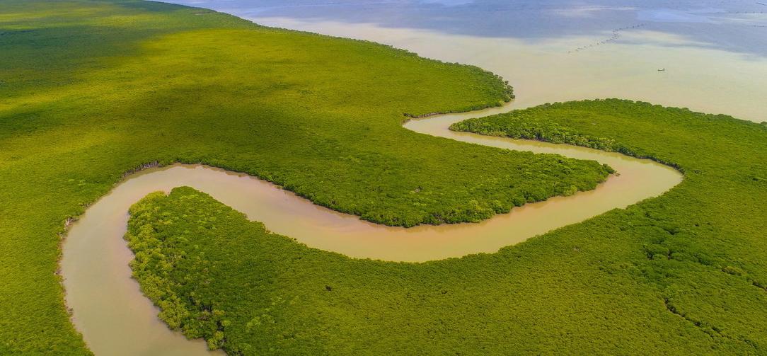 期货交易：看住内心的欲望！有所为有所不为！