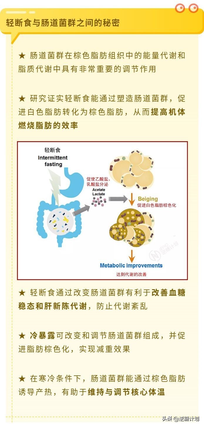 怎样做轻断食瘦得快,如何轻断食比较健康