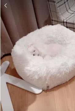 陈赫家手办有多少,陈赫住千万豪宅玩潮鞋耗费百万