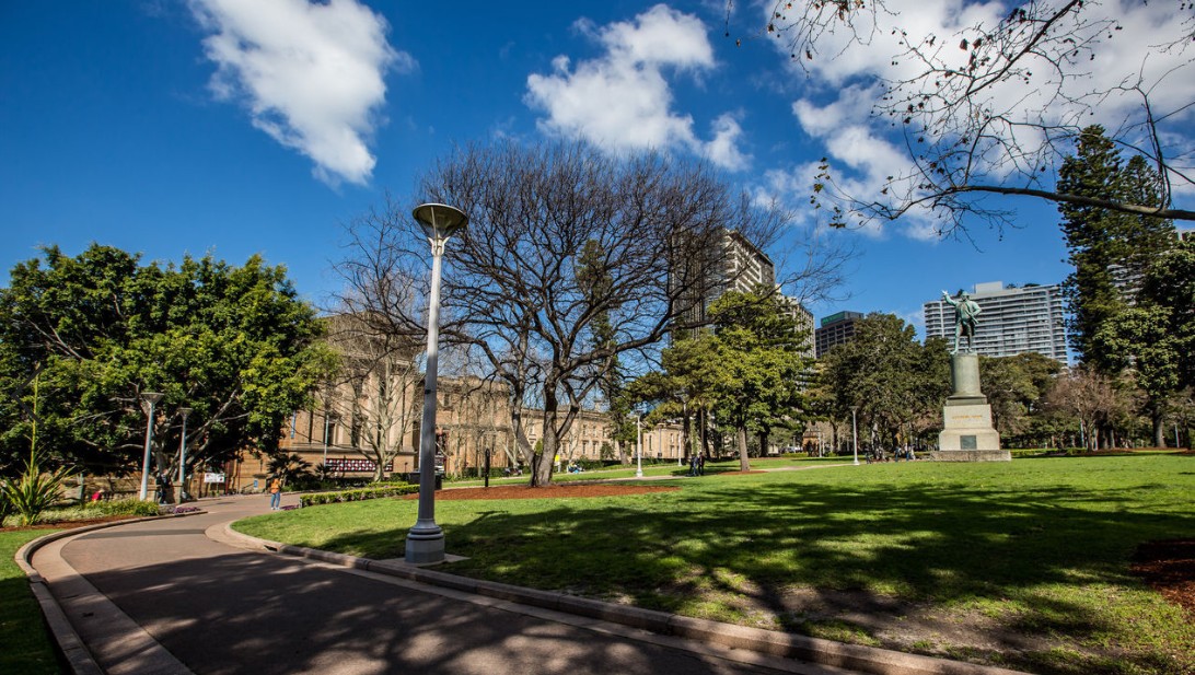 老球迷在球场,老球迷踢足球