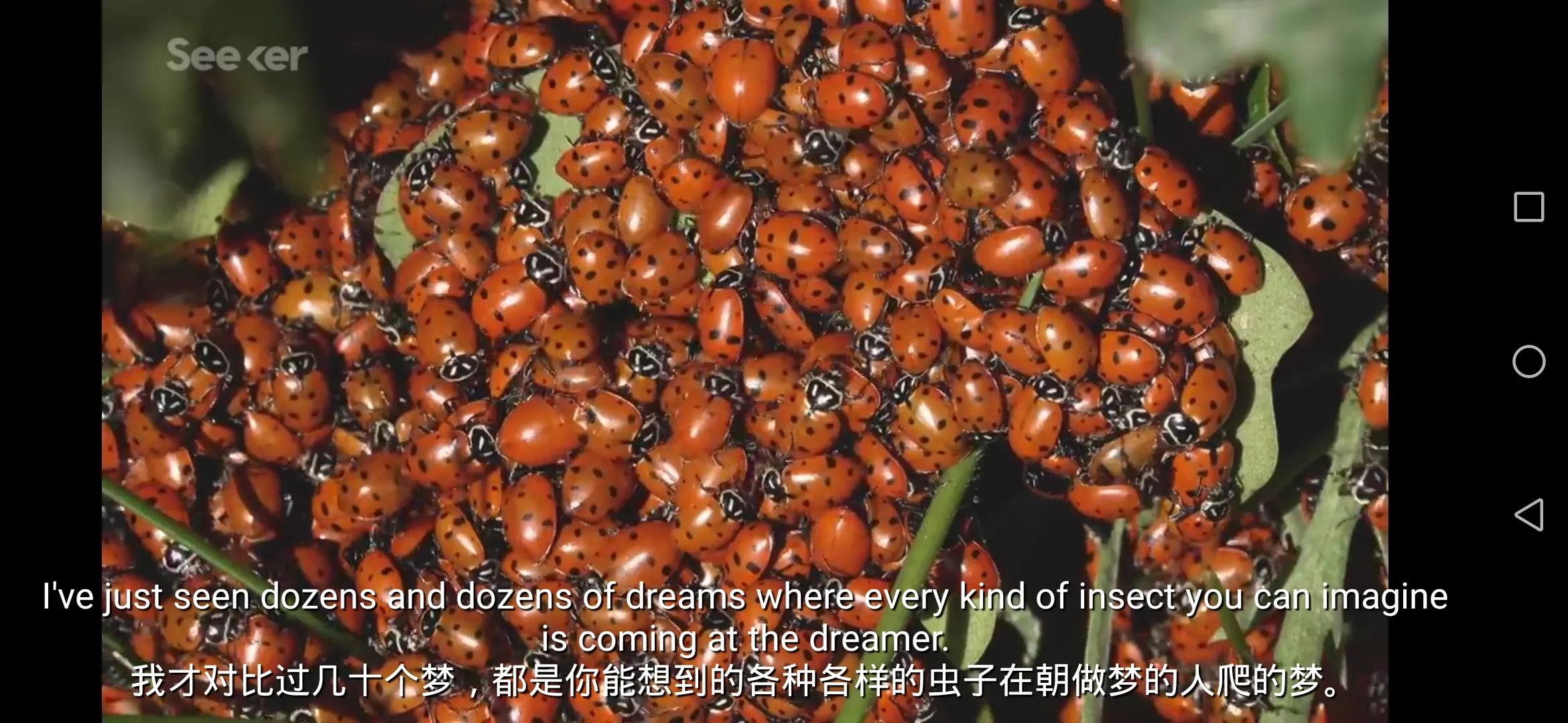 疫情期间你有做过奇奇怪怪的梦吗？