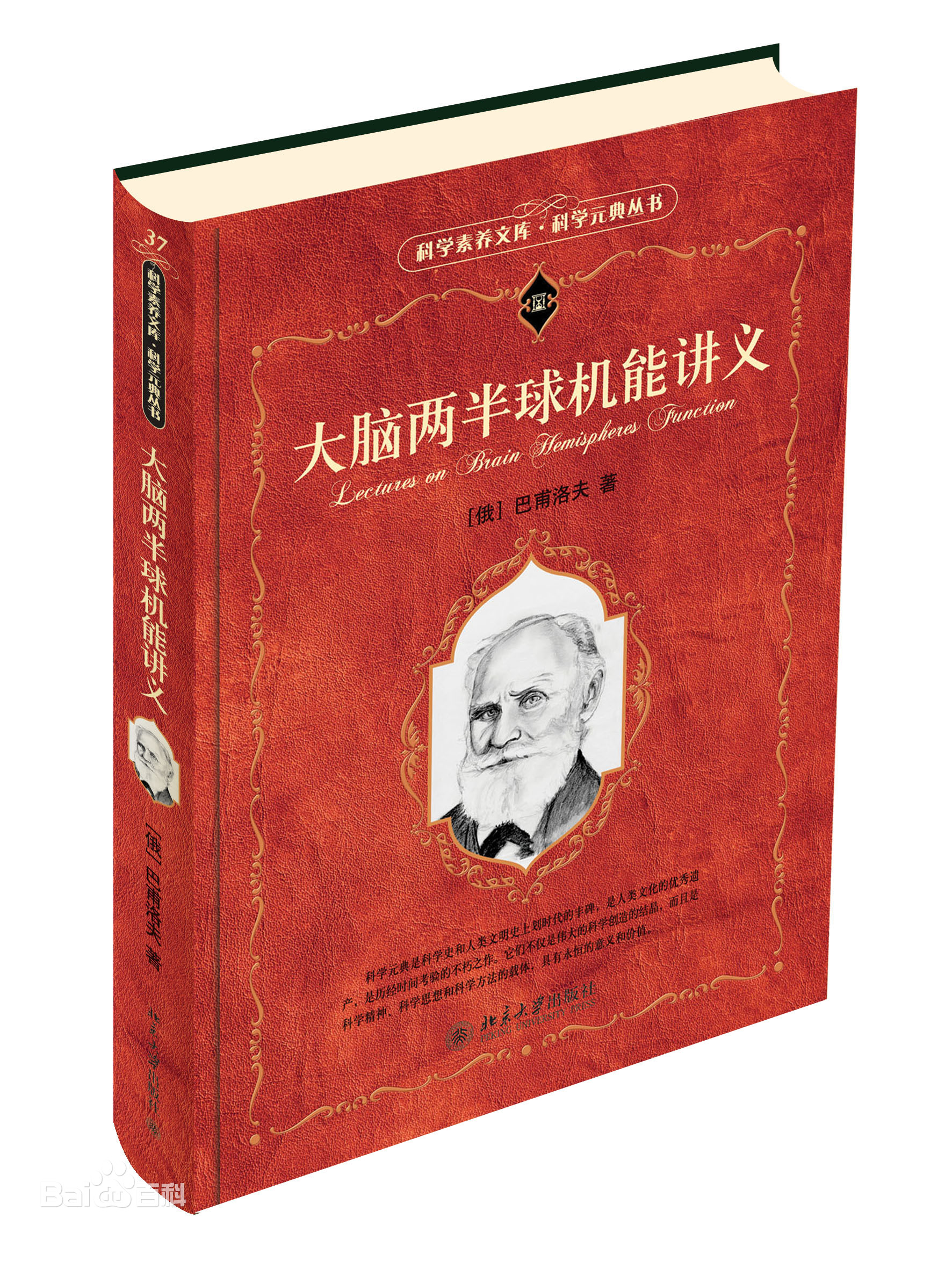 从一本网文《奥术神座》说开去