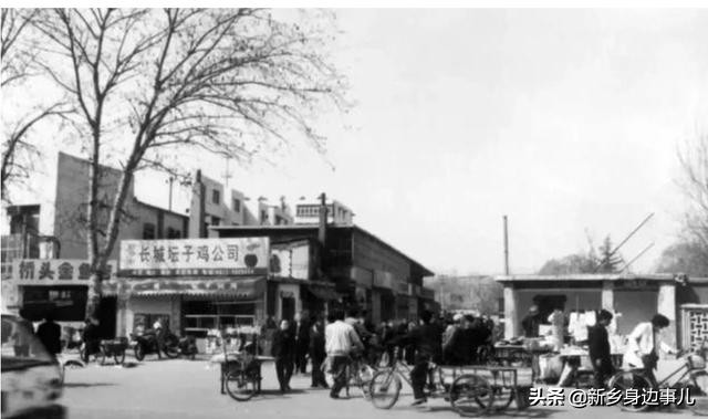 新乡卫河公园的前世今生,卫河公园的历史发展