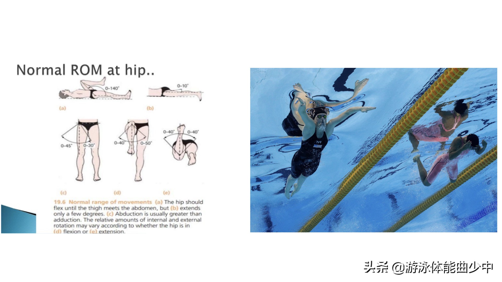 蛙泳腿的四个动作如何做得好,蛙泳腿的完整动作练习