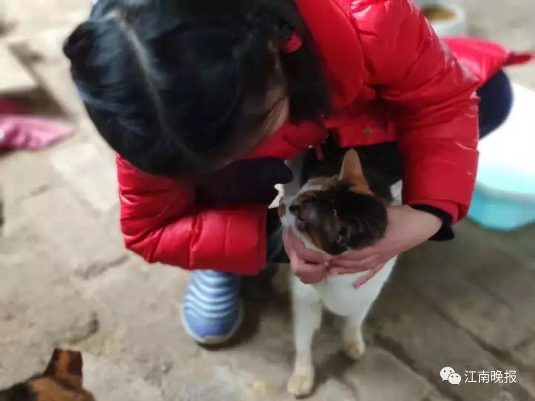 微笑天使正能量,微笑天使蕾蕾