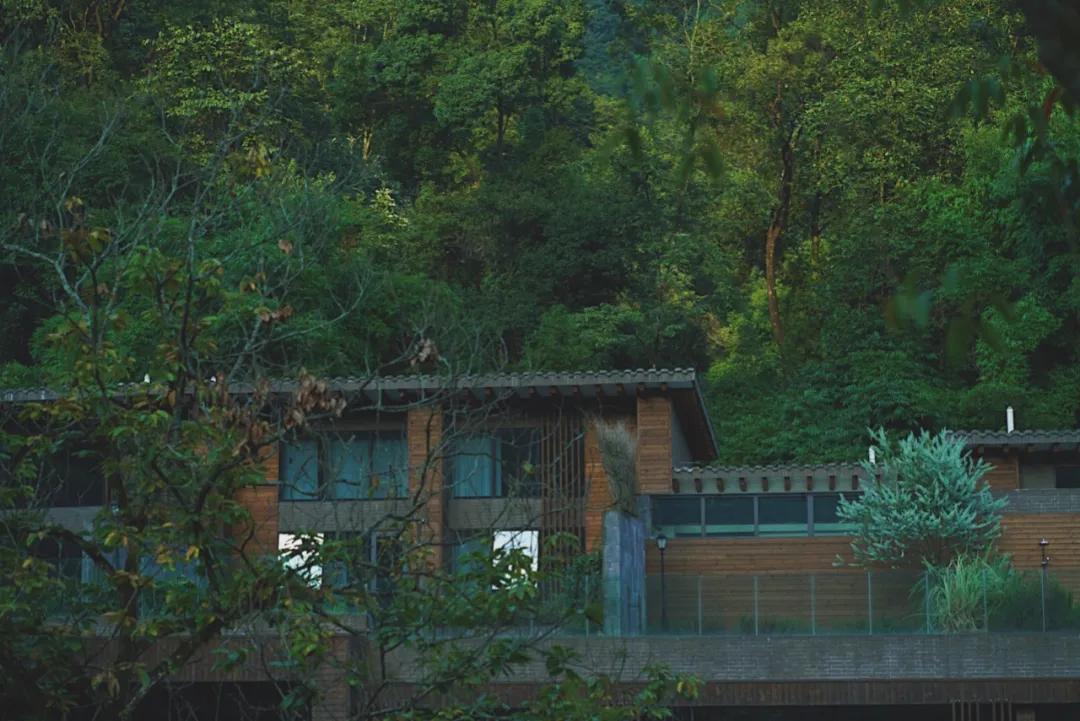 森林秘境的温泉,森林里野奢温泉度假酒店下午茶