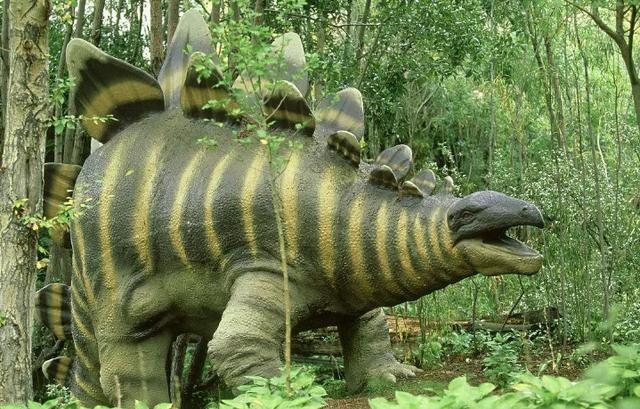 恐龙世界剑龙玩具,恐龙世界剑龙长什么样