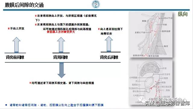 核磁ct都显示急性胰腺炎,急性坏死性胰腺炎的ct表现