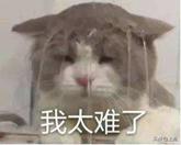 山东什么都大？*疆新**人不服