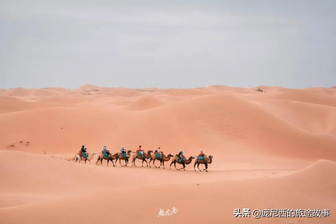 宁夏最值得去的景区,宁夏值不值得去的地方