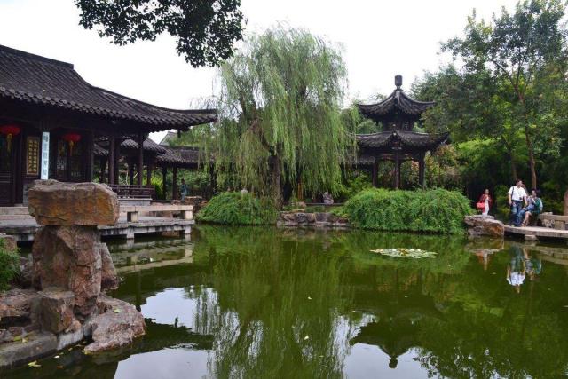 最漂亮的园林景观植物,有代表性的的园林