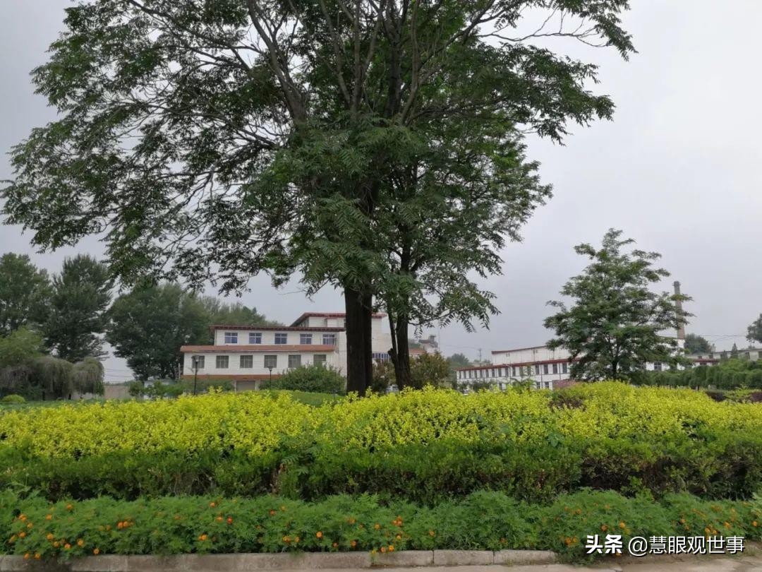 侯氏三杰的坎坷分配路：3.侯沧海努力终有回报