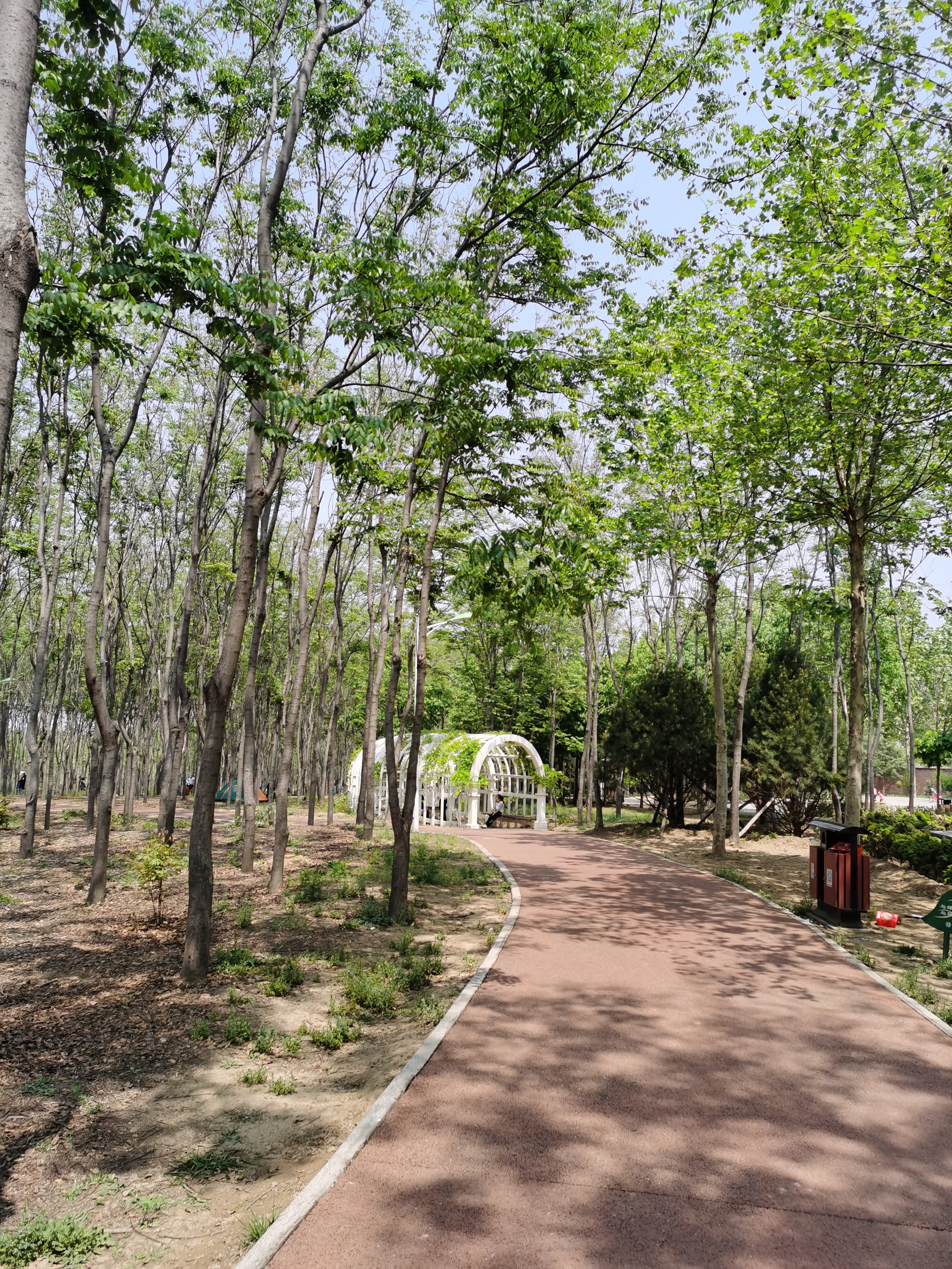 5.1免费公园遛娃好去处,网友推荐郑州树木园游玩好去处