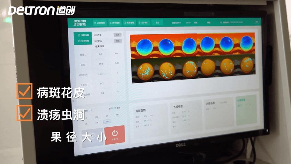 橙子干水了,橙子里面干水是什么原因