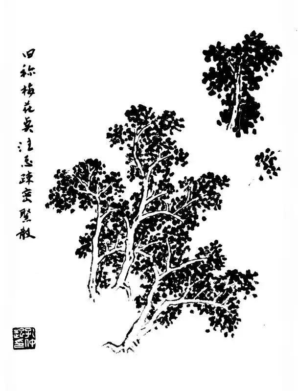 树的画法与表现技巧,树简单素描画