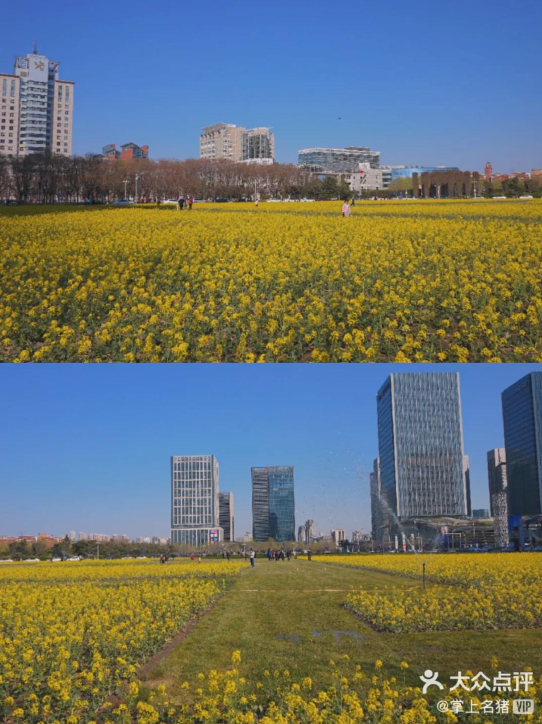 别再去挤故宫了！天津这些地界儿，足够你制霸五一朋友圈！