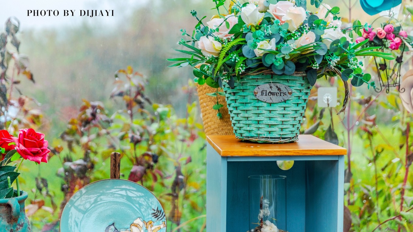 金坛花谷奇缘几月开花,金坛花谷奇缘地图