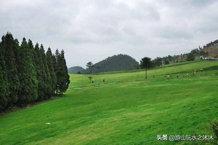 周末带娃来公园,周末带孩子去户外游玩