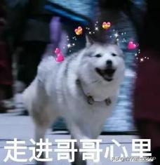 第二银河2,第二银河2.0