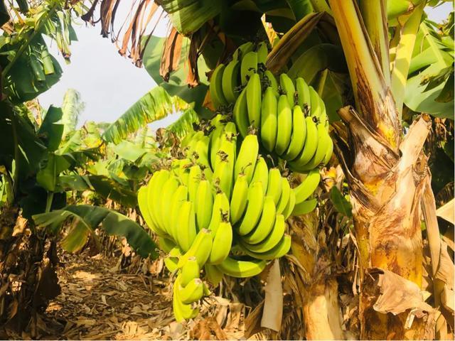 成都北海涠洲岛自由行,成都到涠洲岛攻略