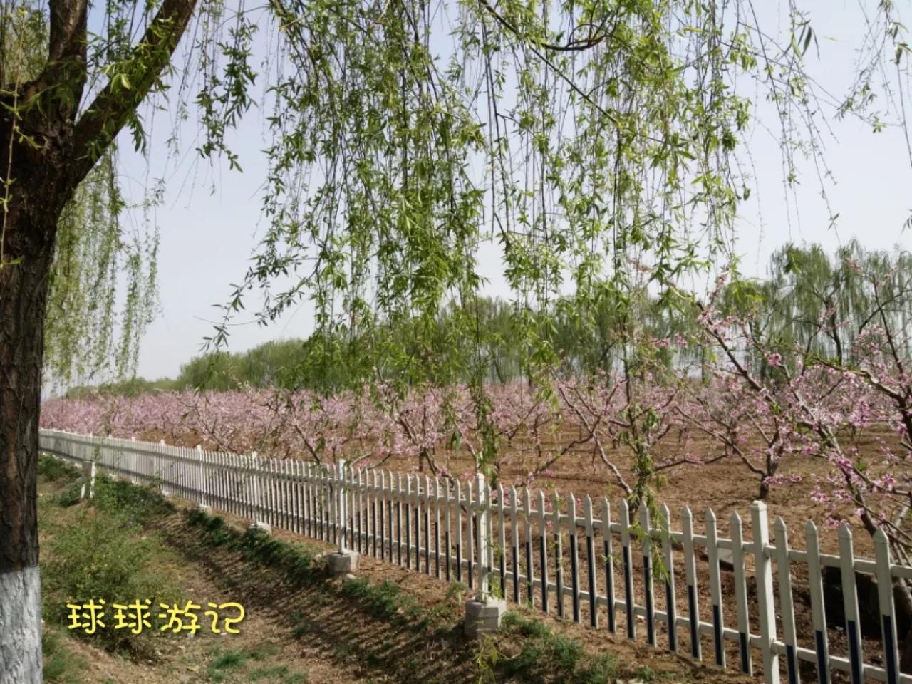 京郊游之平谷老象峰，带你从不同角度看惟妙惟肖的神象峰