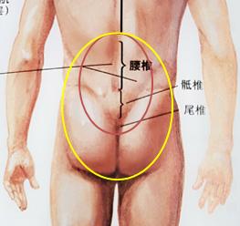 骨科专家讲解久坐的危害,每天做这个动作可以治愈腰椎