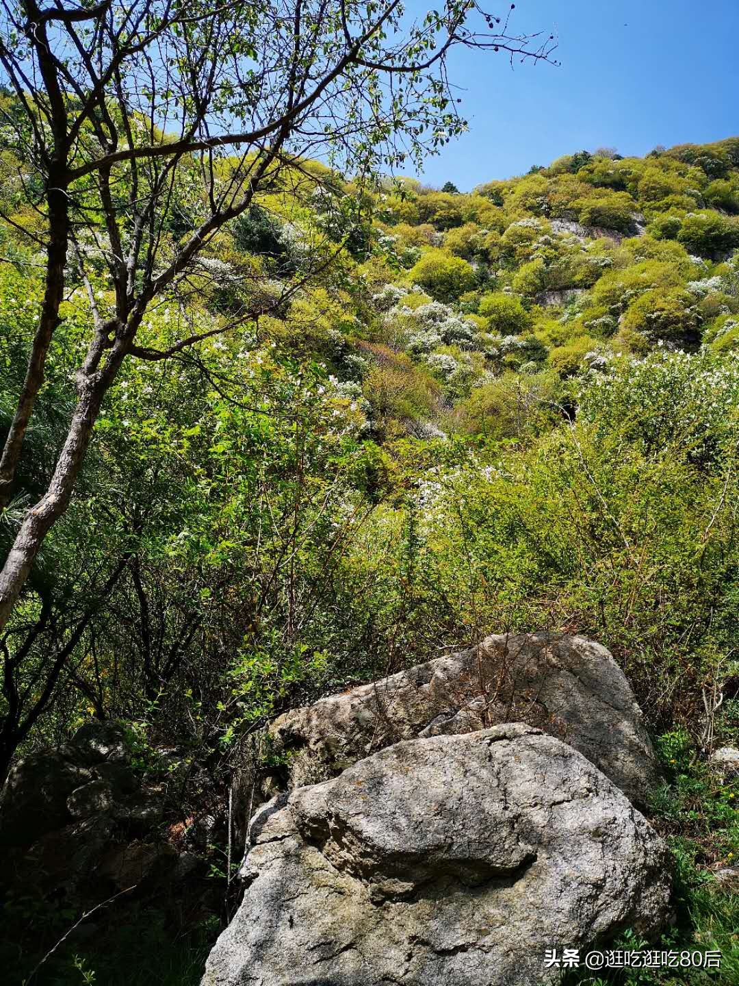 景美人少性价比高的旅游地,西安玉山蓝河游玩路线攻略