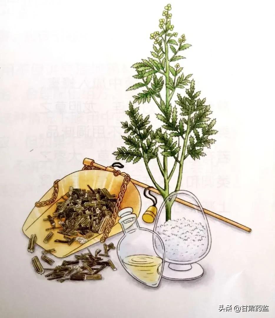 喝中药的苦怎么表达,喝中药的常识和禁忌