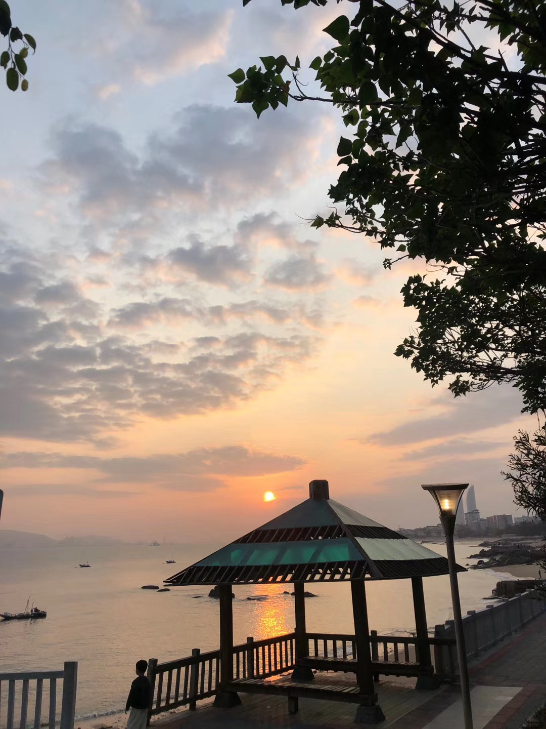 什么是研究性学习主题,什么是研究性学习活动