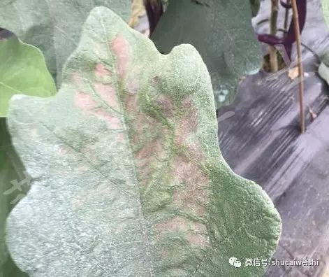 天气转凉如何预防,天气转凉吃什么药预防