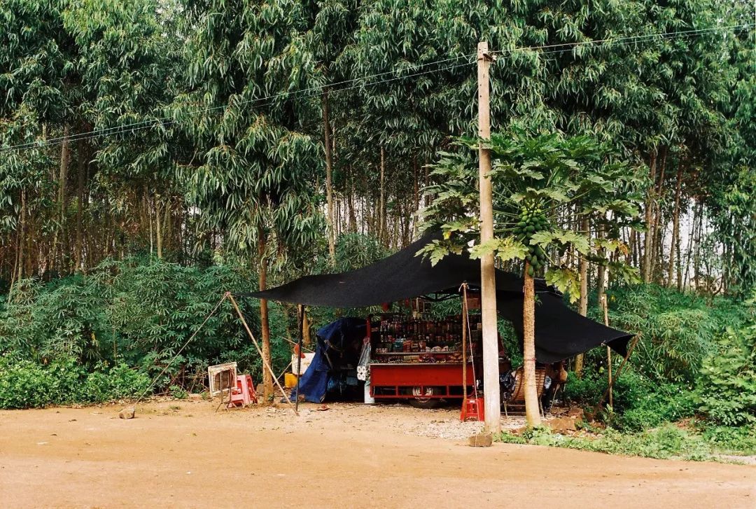 中国哪里还有绿皮火车,中国哪个城市绿皮火车最多