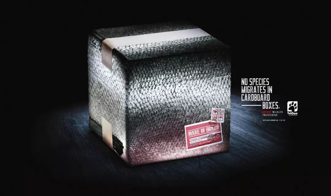 全球创意海报100张,最新创意海报合集值得收藏