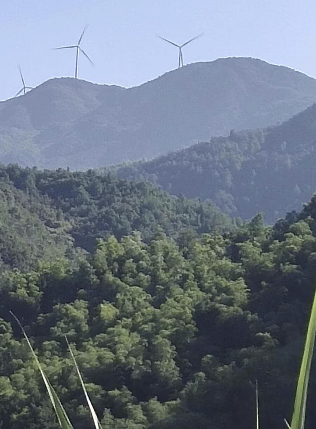 怎样培养孩子爱国情怀，不如看看以下建议：