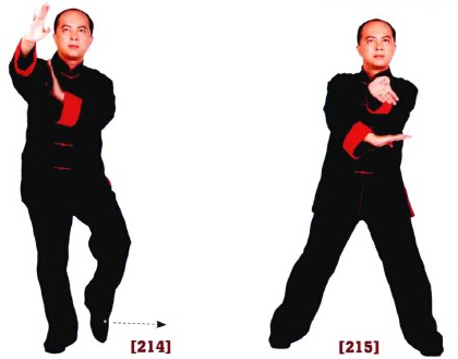 咏春拳入门十二散手,咏春拳标指教学视频