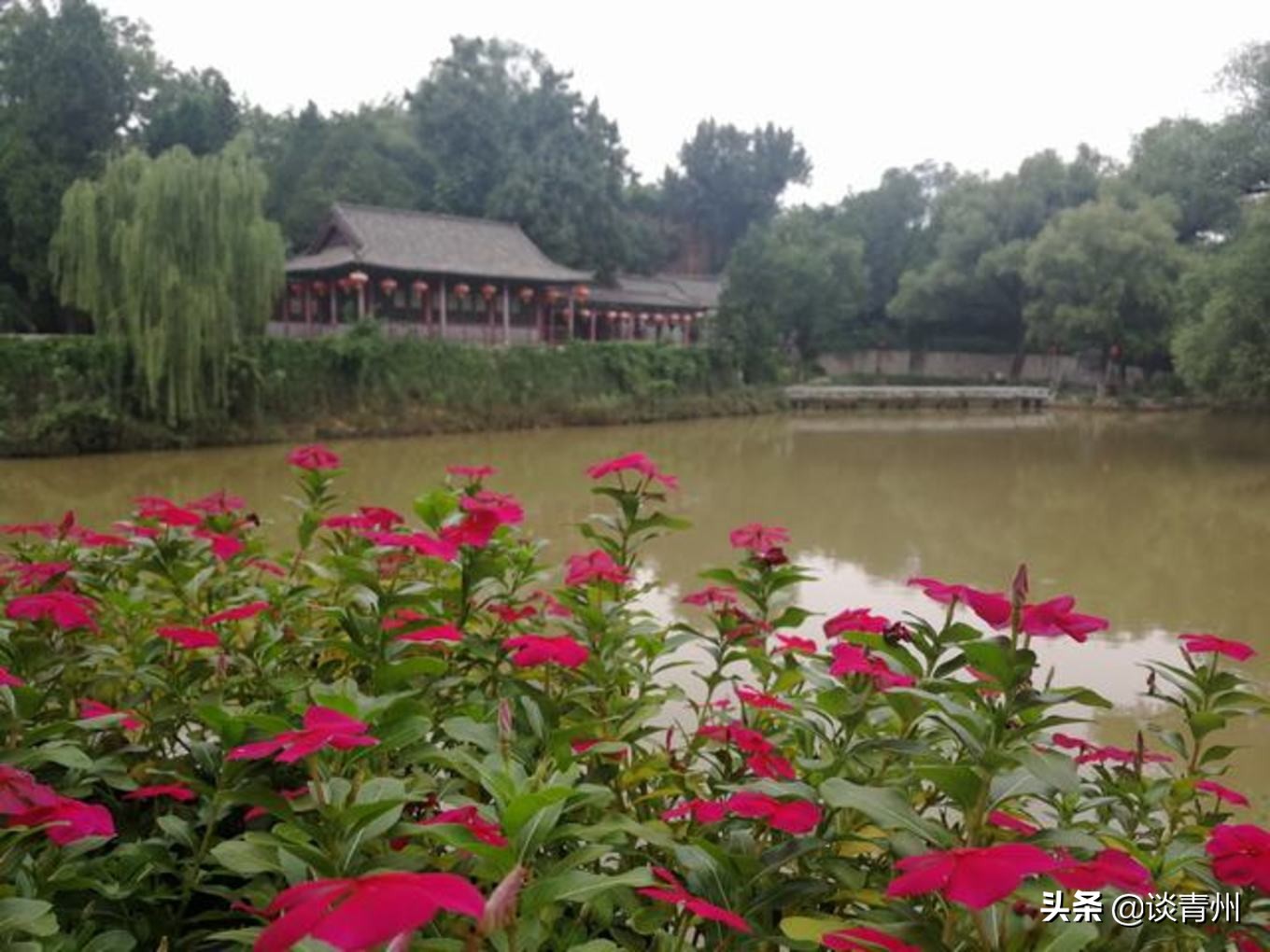 青州古城一日游视频,青州古城夜晚一日游