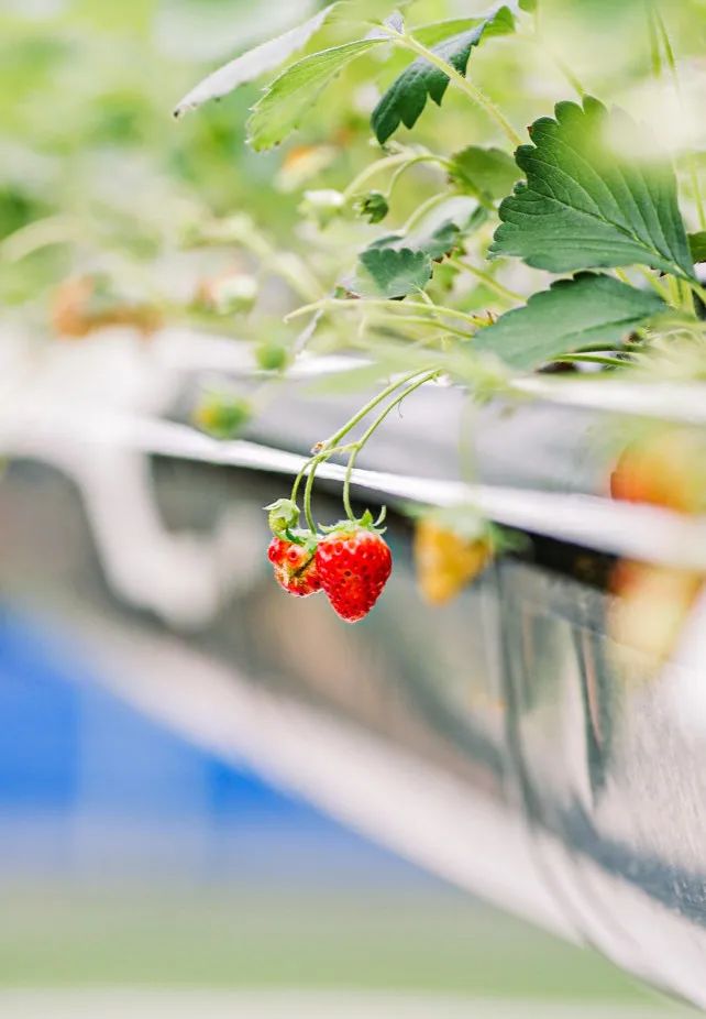 在大山深处幽静绝美的村落,深藏大山中的村落