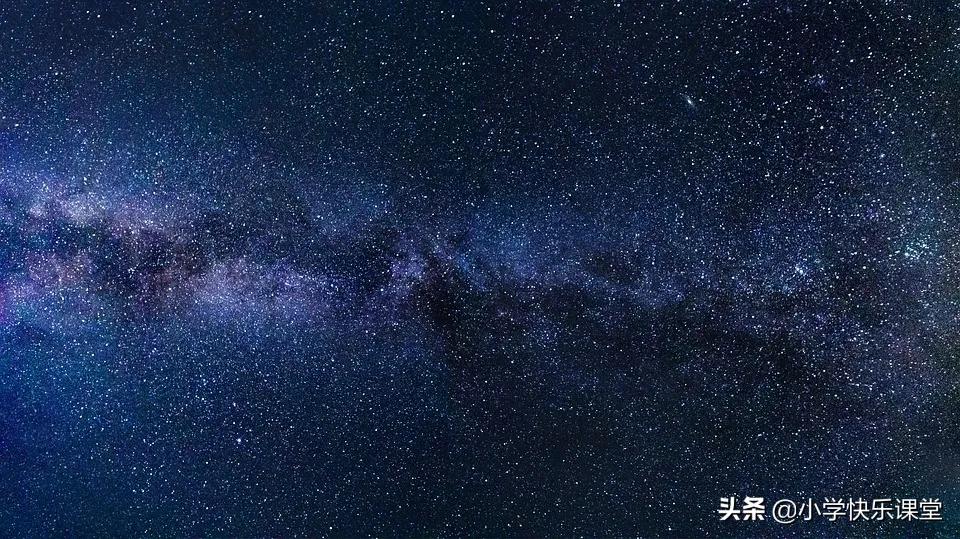 小学四年级新编龟兔赛跑作文,小学生作文小小动物园250字