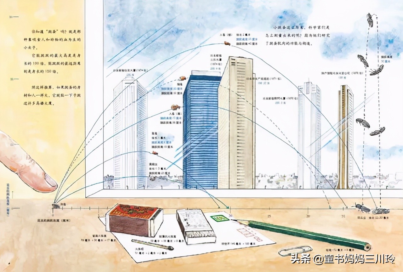 鏃ユ湰绉戝涔嬬埗,鏃ユ湰绉戝缁樻湰