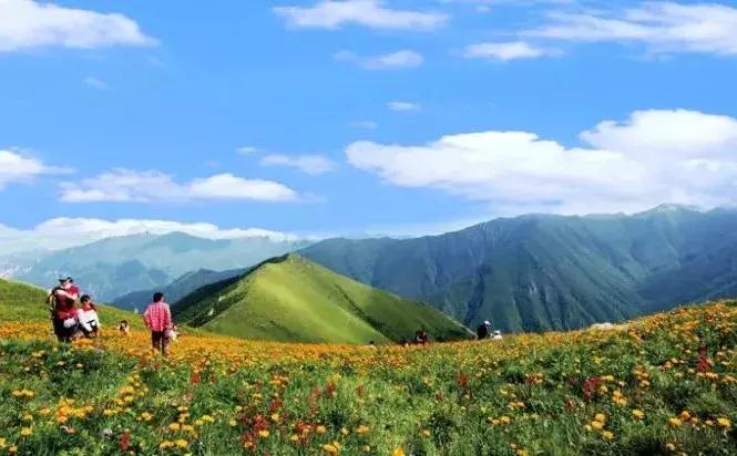 蔚县十大新型创业项目加盟,蔚县投资