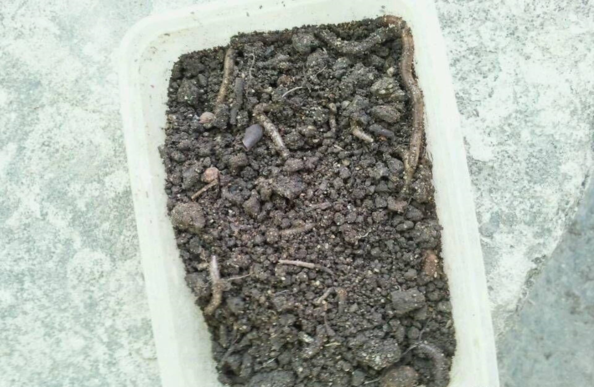 用不完的饵料如何长期保存,用不完的饵料如何保存下次继续用