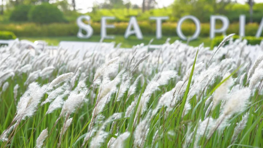 海对人们的意义,海对人类经济的影响