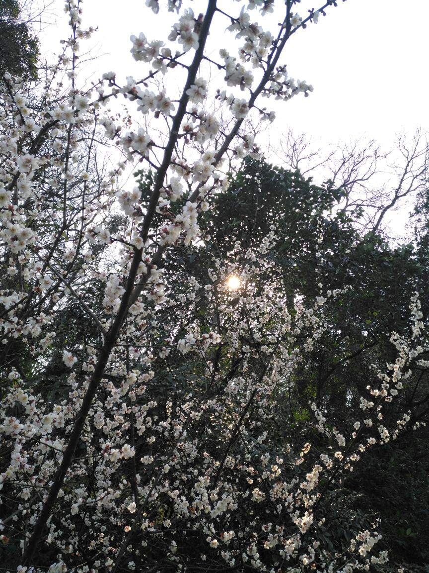 帮主去杭州,帮主离开的第一天