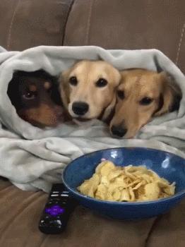 谈到孤独,说到孤独你会想到什么