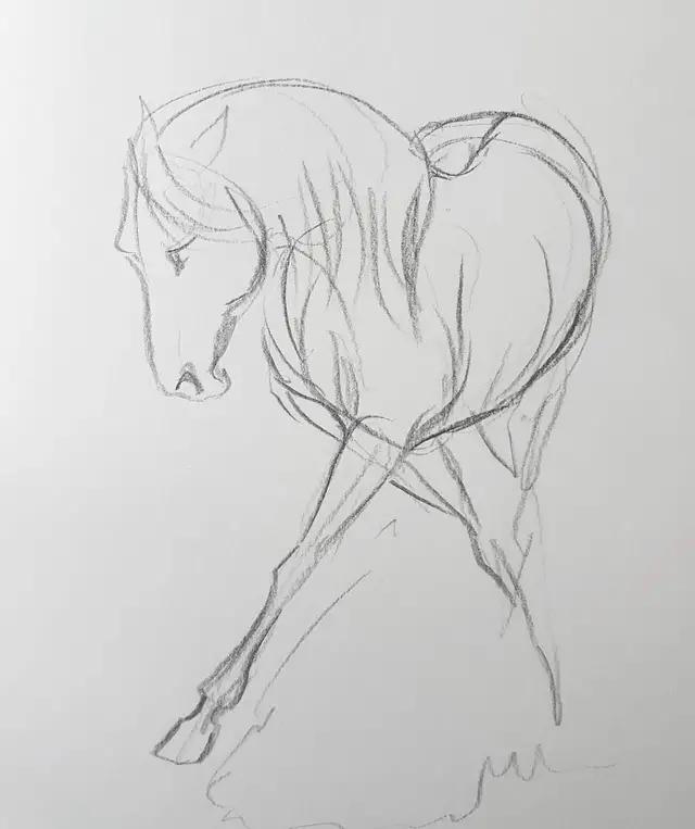 马怎么画简单图画,马怎么画更真实