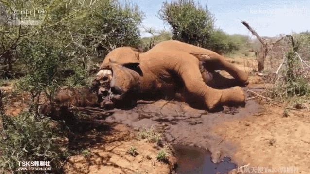 15岁怀孕,她被骗吃下*药炸**,一尸两命:有些人,这辈子不配为人