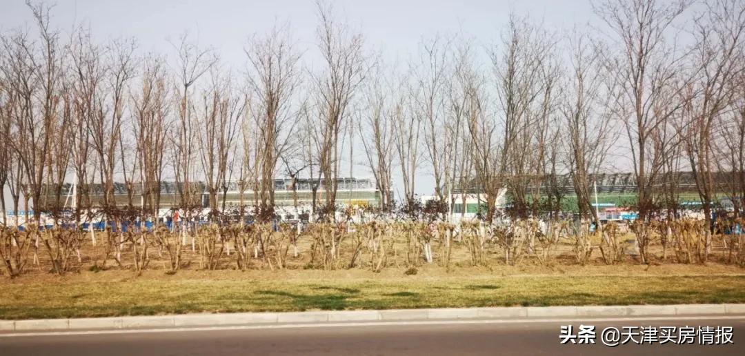 天津国展西学校板块,国展板块和海河教育园