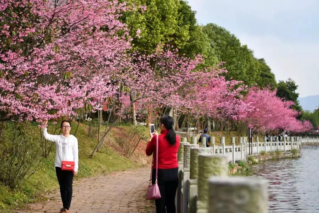 章贡区五龙客家风情园要不要门票,五龙客家风情园免票