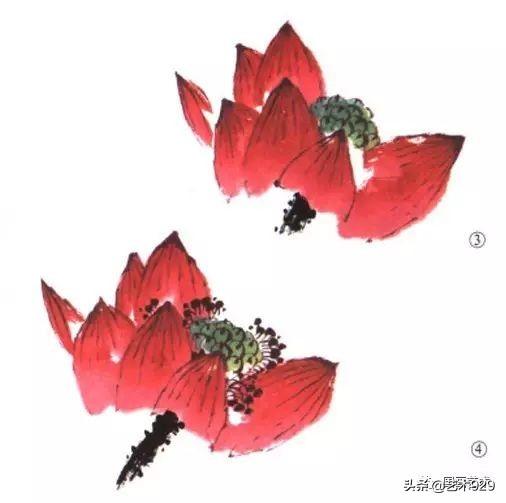 荷花的画法和步骤图解,最简单的荷花画法一学就会