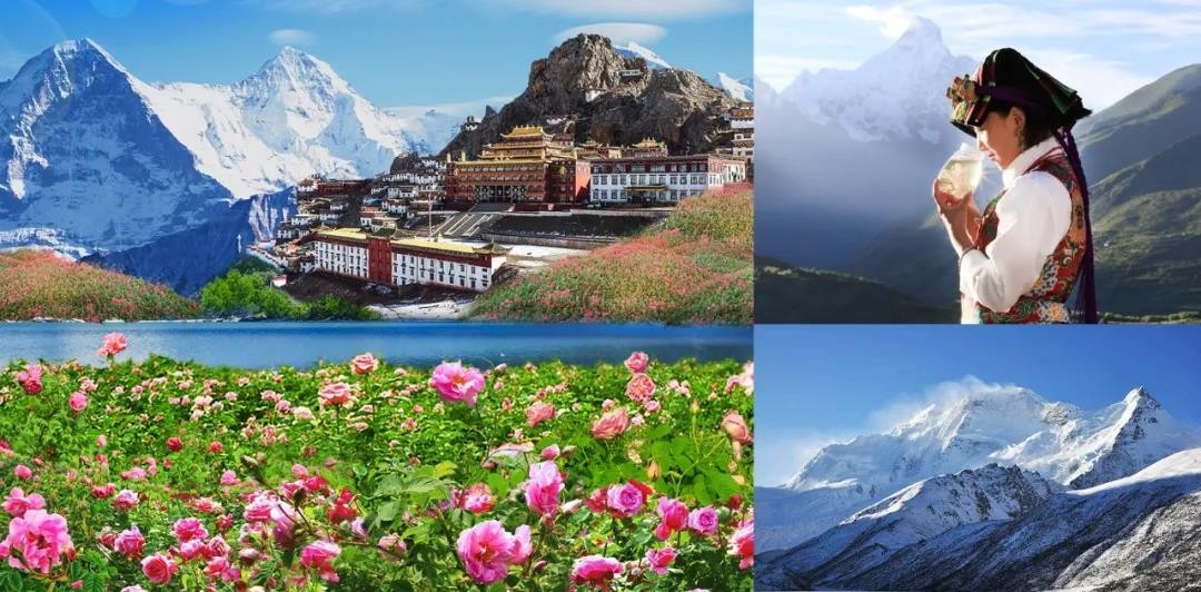 云朵玫瑰臻选,云朵玫瑰品牌有哪些